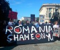 Φιλόζωοι Έλληνες στη Ρουμανία κατά της ευθανασίας των αδέσποτων